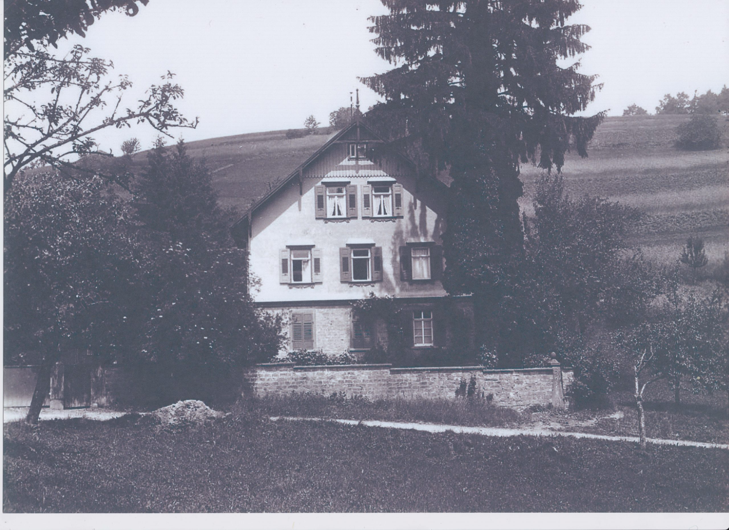 Bildbeschreibung